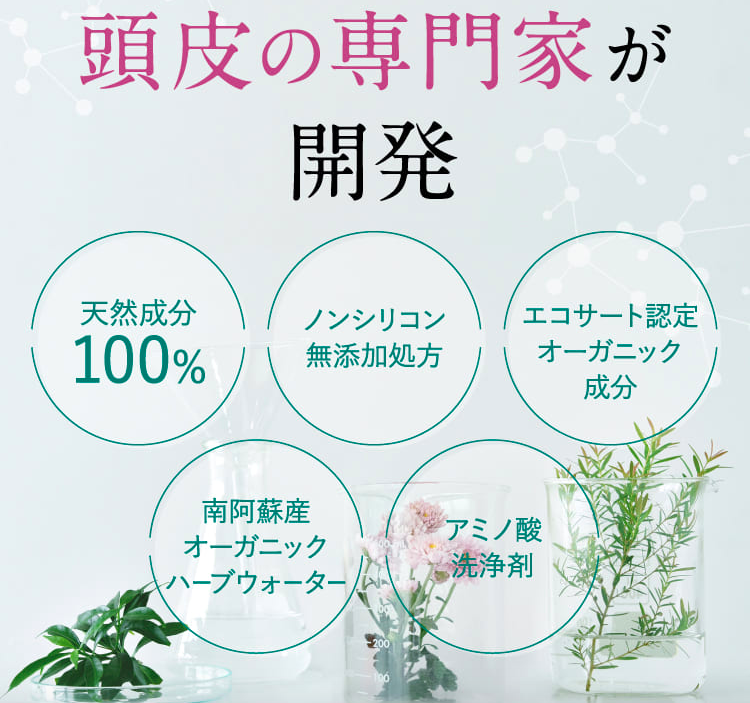 開発の画像