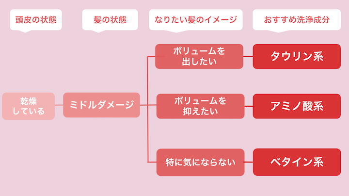 頭皮が乾燥している人で髪の状態がミドルダメージの人におすすめの洗浄成分のチャート