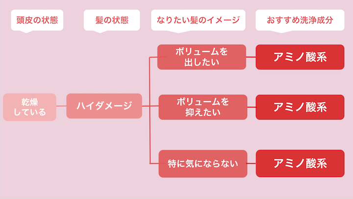 頭皮が乾燥している人で髪の状態がハイダメージの人におすすめの洗浄成分のチャート