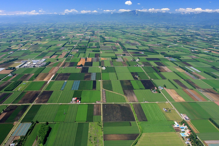 参加自治体 北海道 | ANAのふるさと納税のイメージ画像