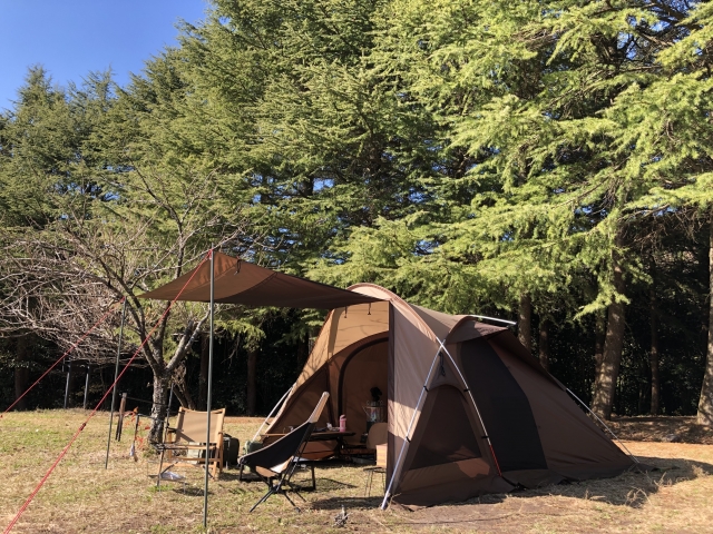 キャンプの画像