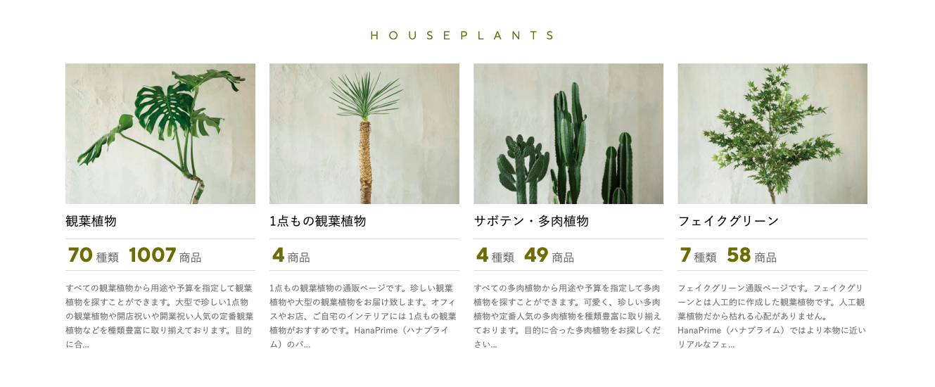 観葉植物の画像