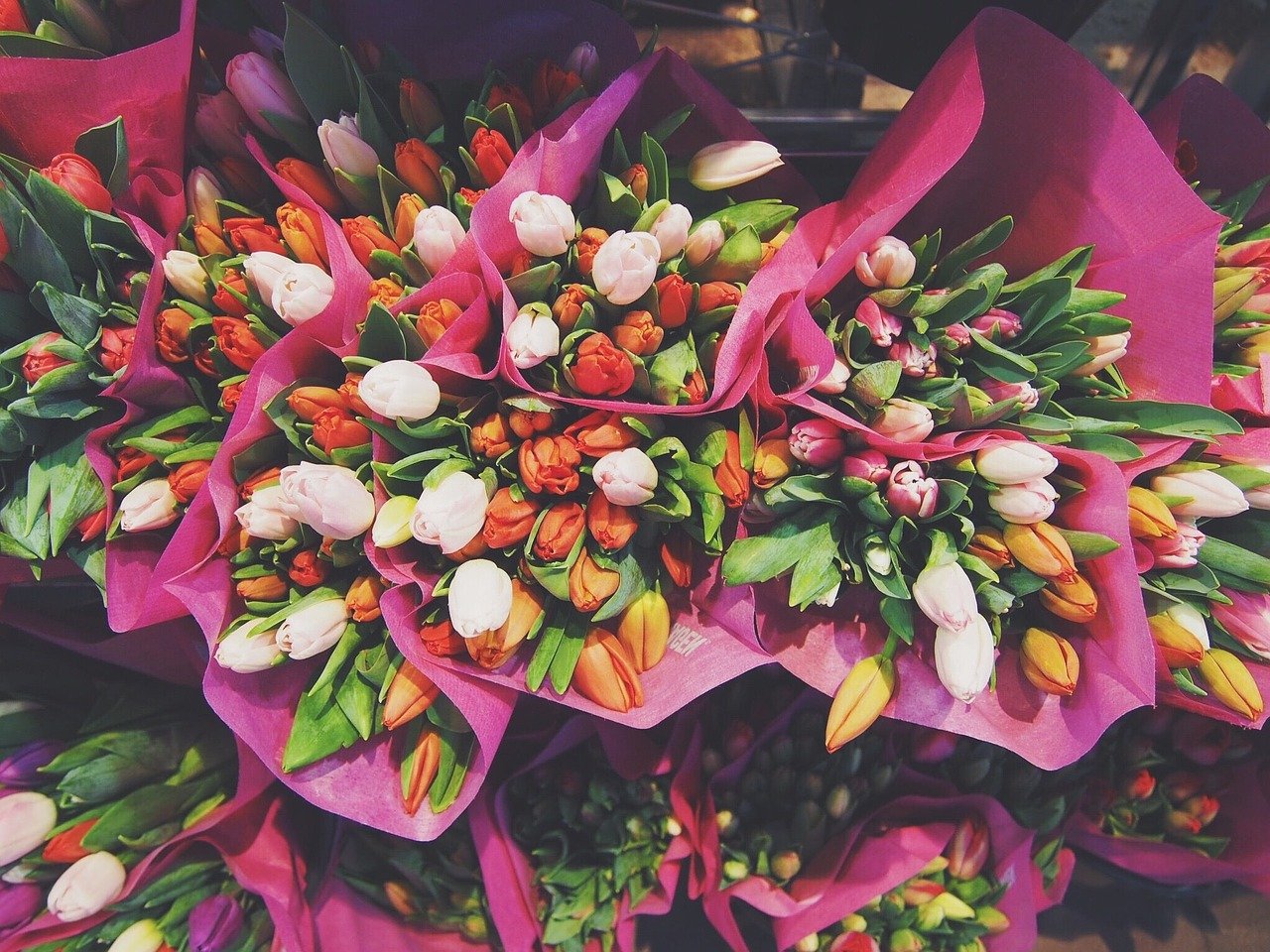 チューリップの花束の画像
