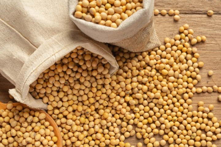 豆乳の原料である大豆のイメージ画像