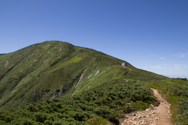 山