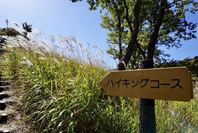景色を楽しむハイキング