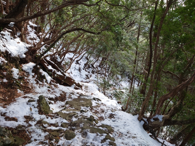 雪の残る山道
