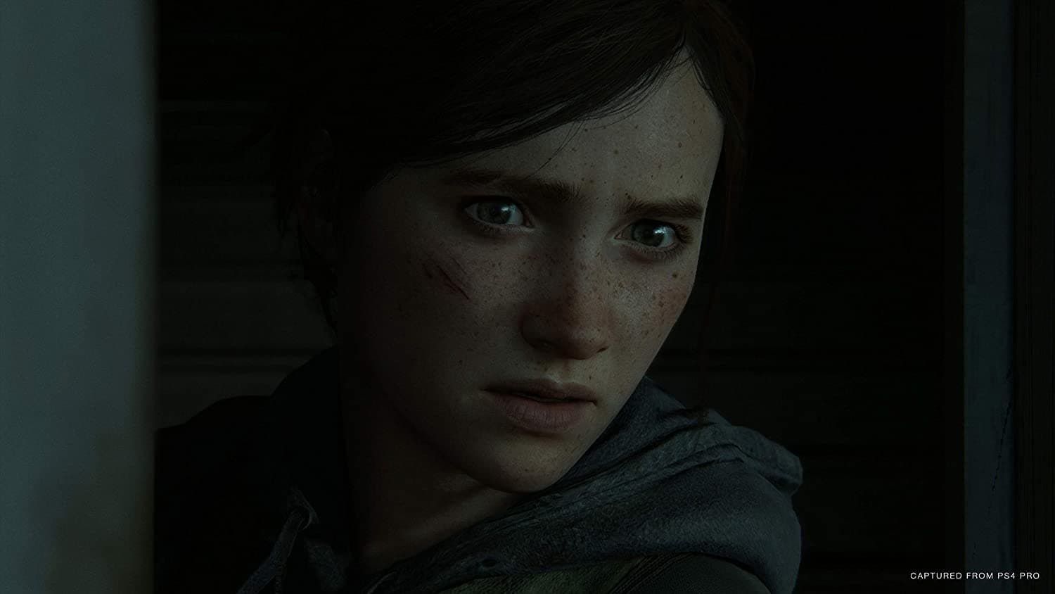 The Last of Us Part IIのプレイ動画の写真