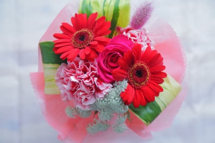 花の写真