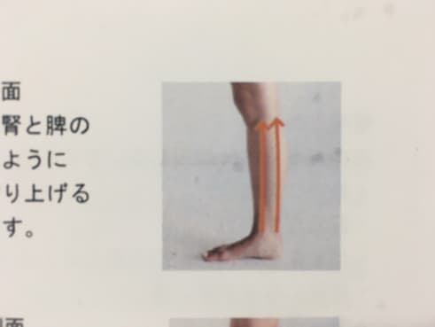 ルートローラーで行うリンパマッサージの説明画像