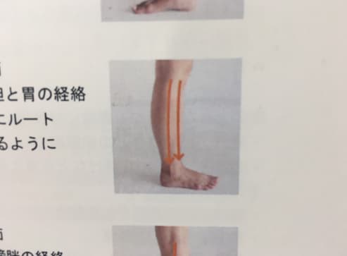 ルートローラーで行うリンパマッサージの説明画像