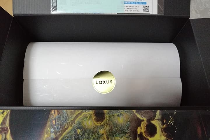 ラクサスのバッグのパッケージの画像