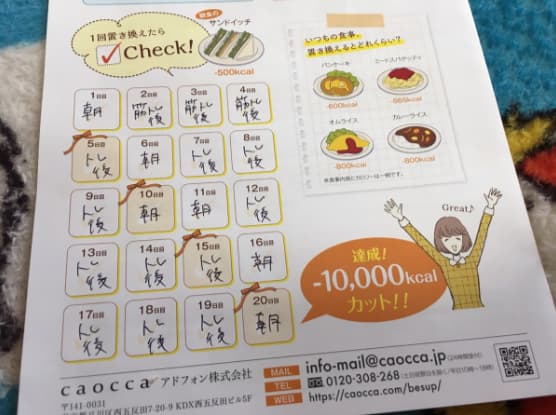 besupチェックシートの写真