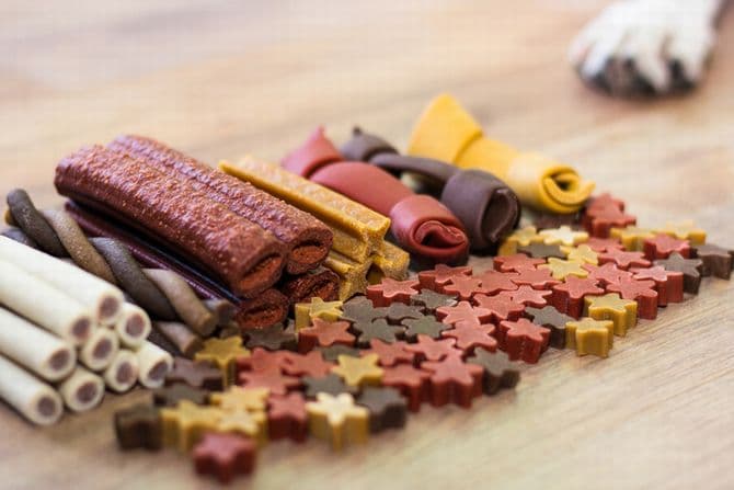 犬のおやつの画像