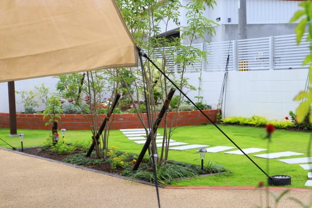 シンボルツリーと下草