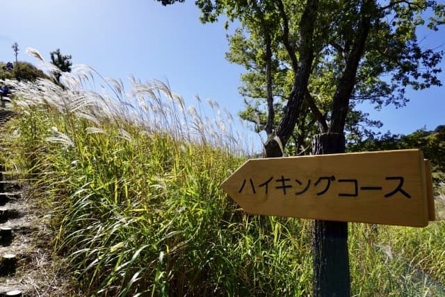 景色を楽しむハイキング