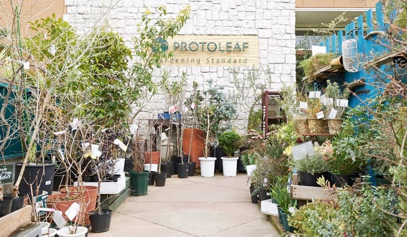 プロトリーフ  ガーデンアイランド玉川店