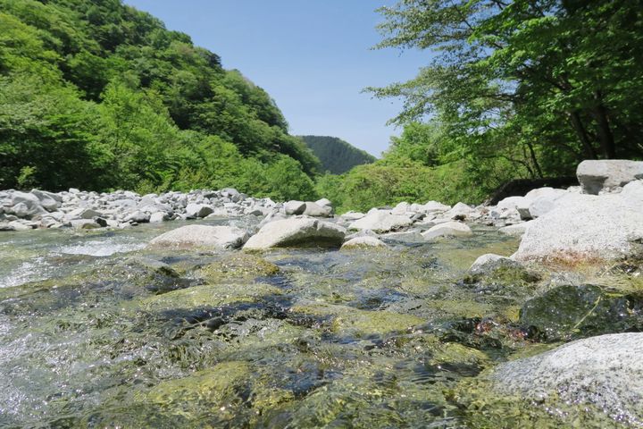 川の清流の写真