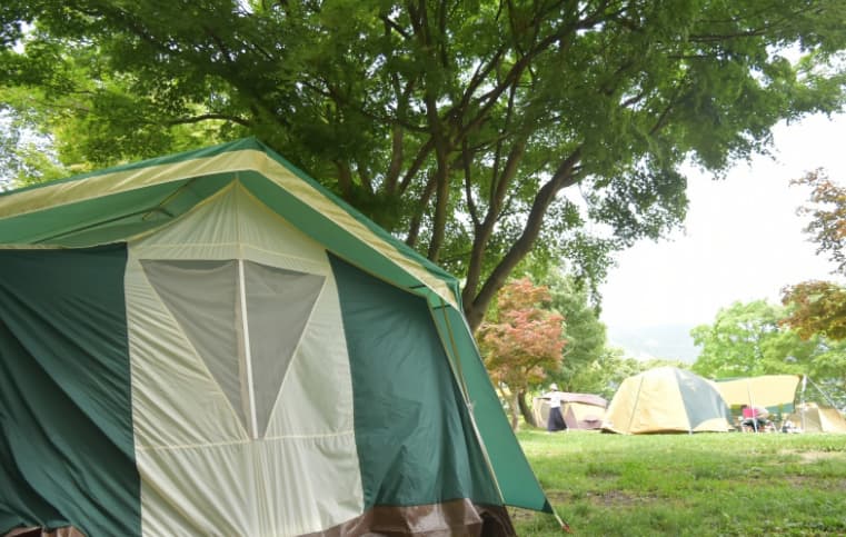 テントと緑