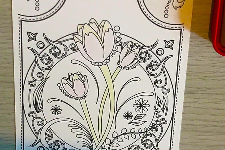 花の部分の下地の色を塗り終えた大人の塗り絵