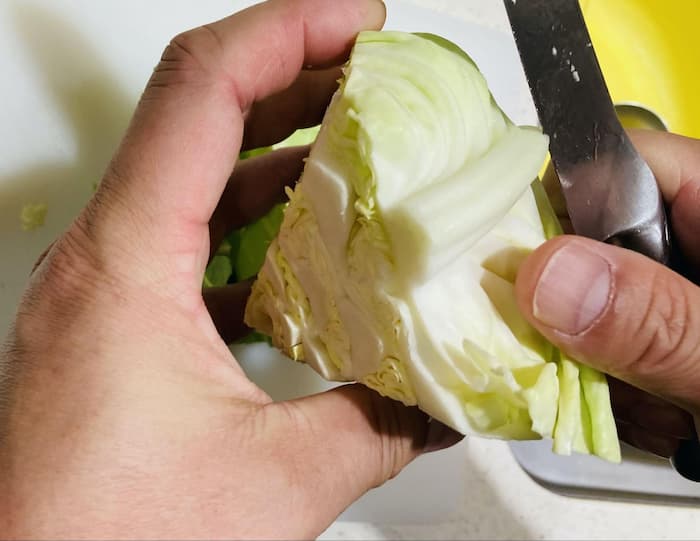 キャベツ・葉脈の軸の写真