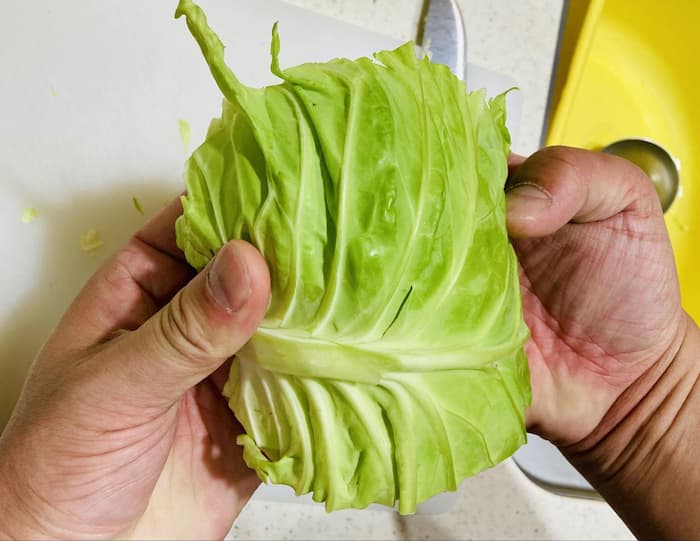 キャベツを折りたたむ写真