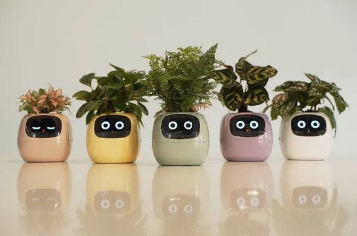 AIで植物とコミュニケーション！ スマートプランター「Ivy」 - bouncy