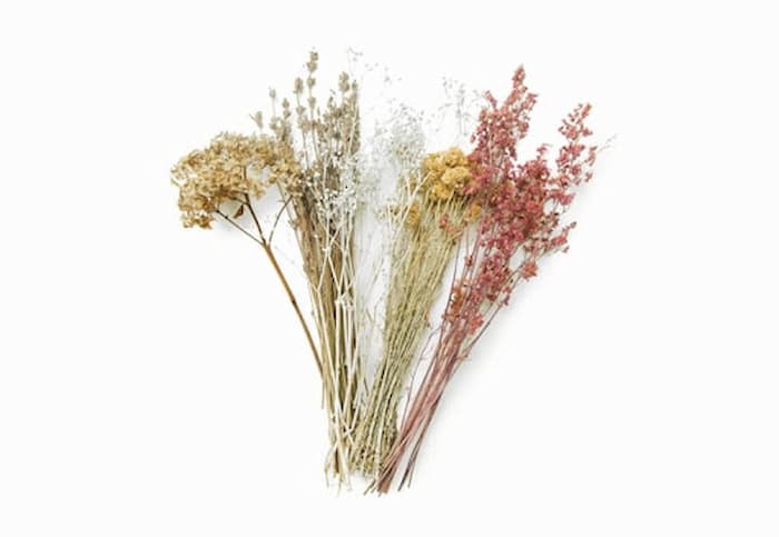 ドライフラワーの画像