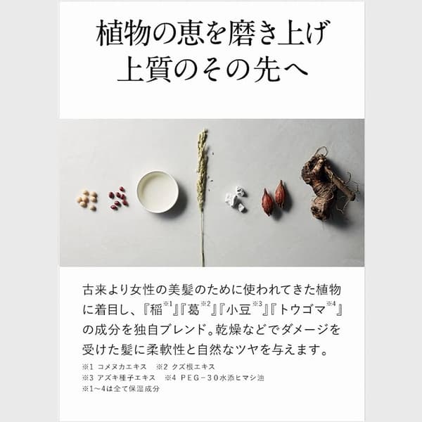 植物の恵みの写真