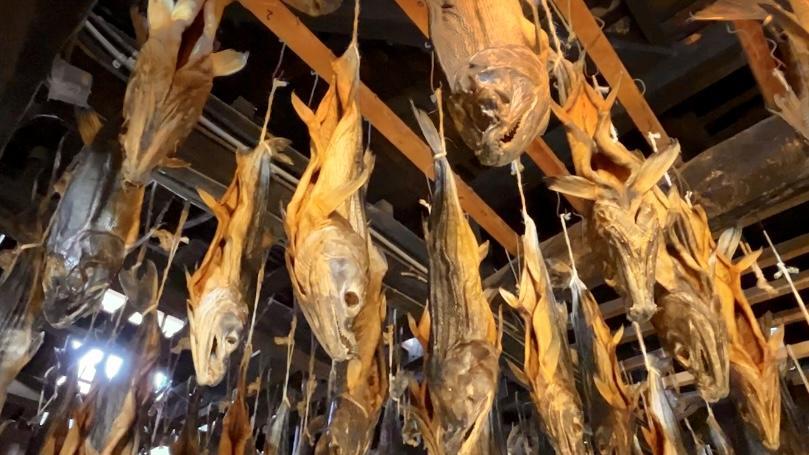 おさんぽ案内人が行く新潟・村上散歩 伝統の鮭漁と多彩な食文化【動画