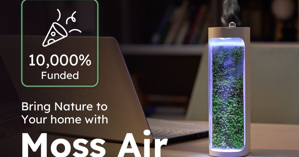 Moss Air 天然加湿器 コケの力で森林浴気分が味わえる！ホワイト 究極のサステナブル！コケの力で森林浴気分が味わえる