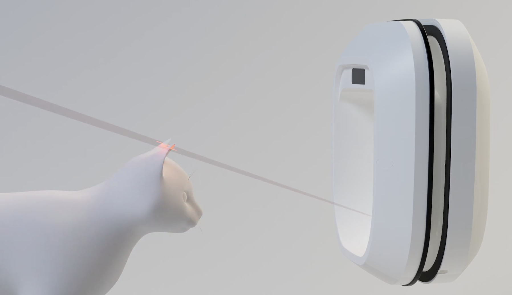 猫*い様 新品未使用 トップブリッジ FLAT ARAPAIMA BIG G-P 猫*い様 新品未使用 トップブリッジ FLAT ARAPAIMA BIG G-P