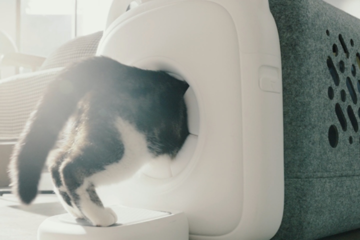 中に入ると毛づくろいできる!? 猫用グルーミングハウス「PawSwing