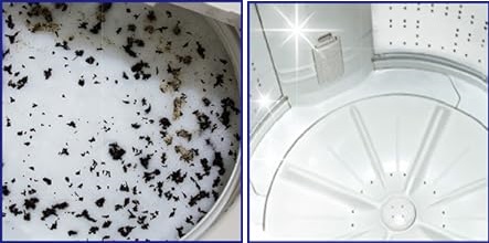 紀陽除虫菊 洗濯槽クリーナー [非塩素系 / 750g] 粉末タイプ 