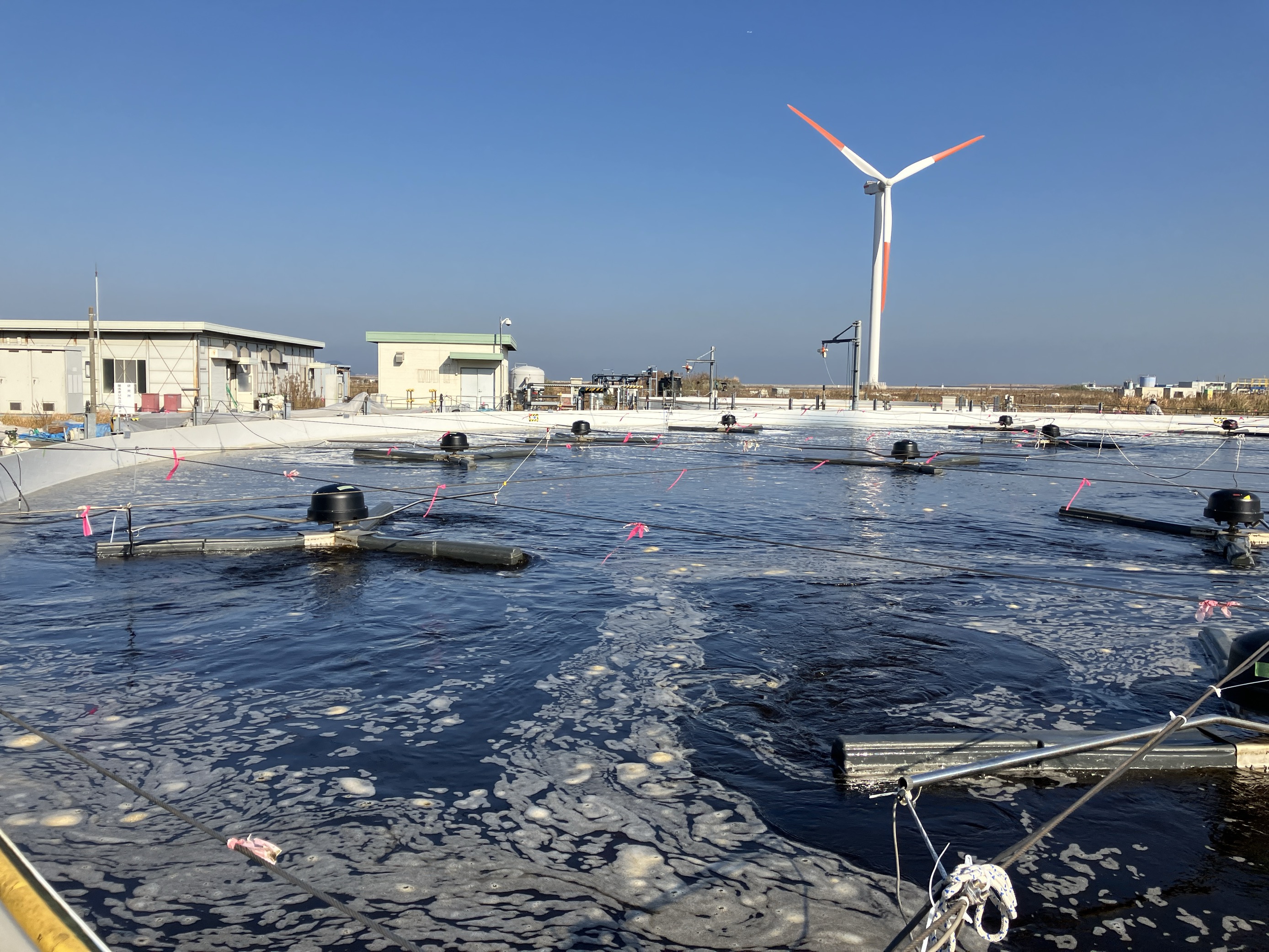 微細藻類によるエネルギー生産と事業展望 = Technology of Mic… 理工学部人間総合理工学科 山村寛：NEDOが公募する「微細藻類