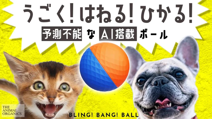 BLING! BANG! BALL ブリンバンボール 犬 猫 AIガジェット 楽天市場】犬 猫 ペット用 勝手に動く面白動作 ブリンバンボール