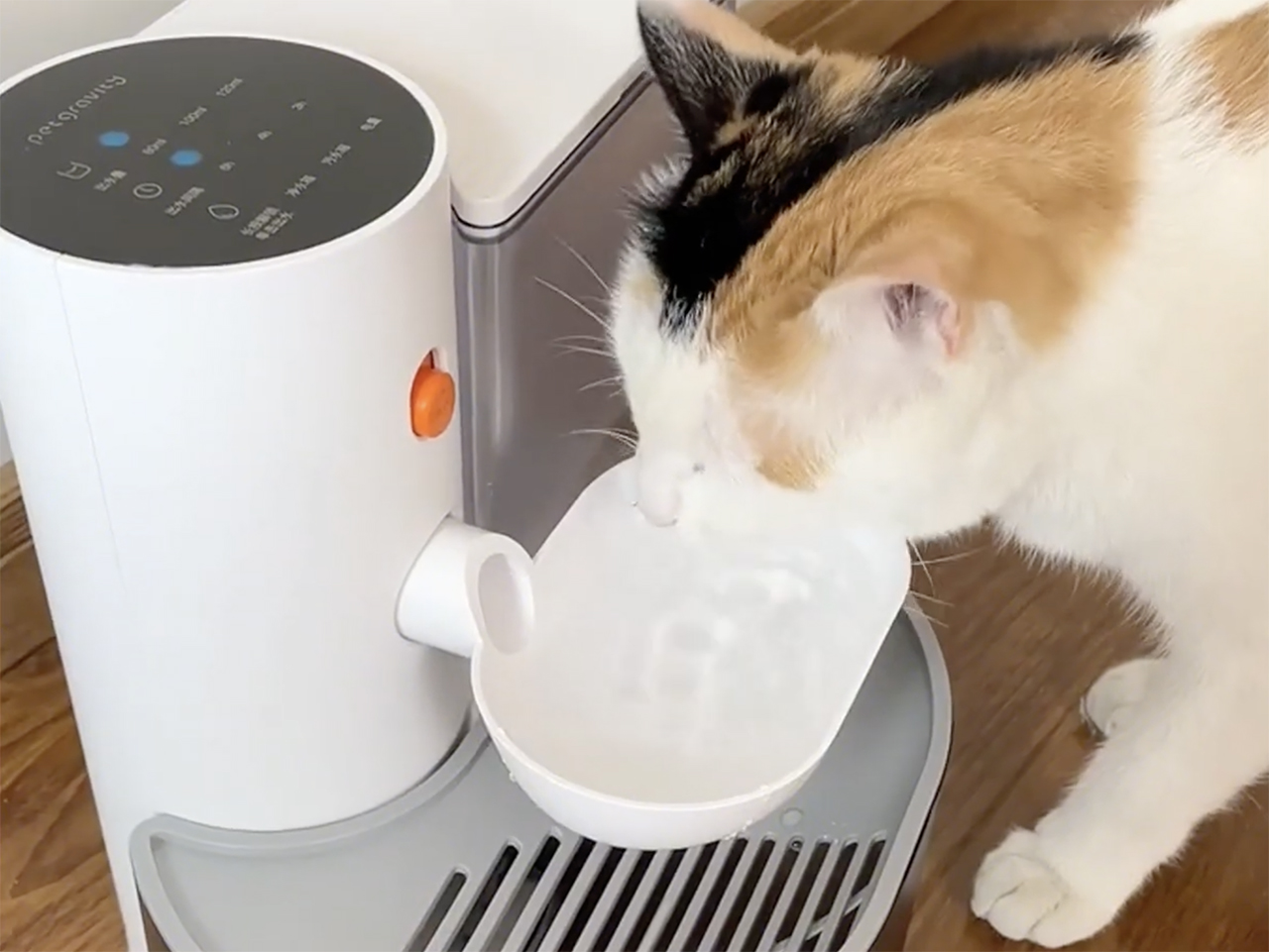 フィルター交換不要！ 水を自動で交換するペット用給水機