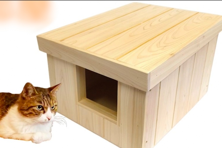 1733193993168_n99779v3yhpm3krp