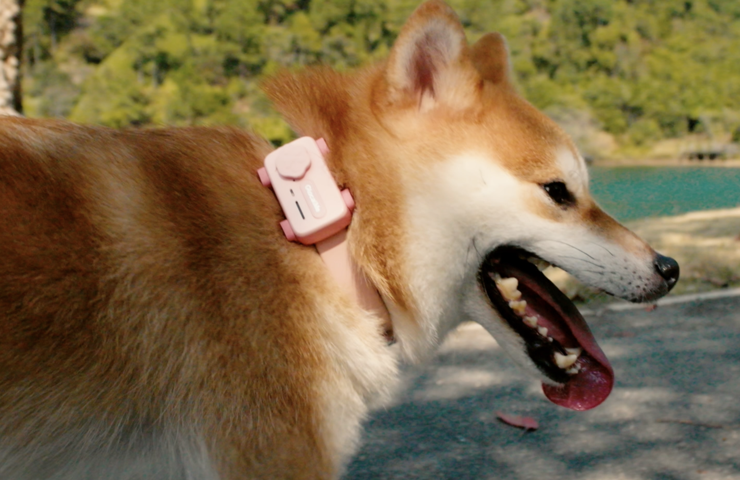 新品】GlocalMe ペットフォン GPS 健康アラート ペット用 犬 猫