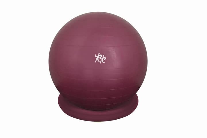 ルネサンス Re バランスボール 55cm(リングとポンプ付)