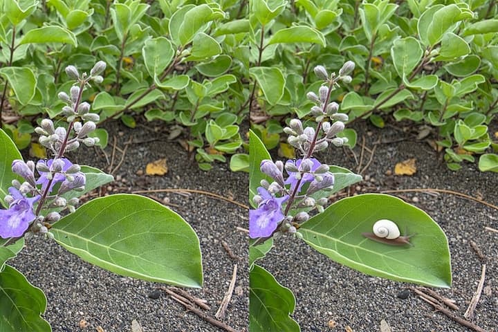 AIスケッチで写真をかんたんに加工