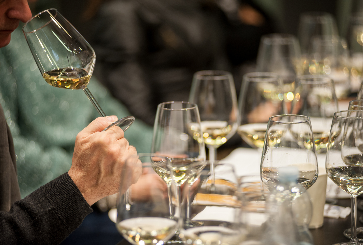 白ワインをテイスティング