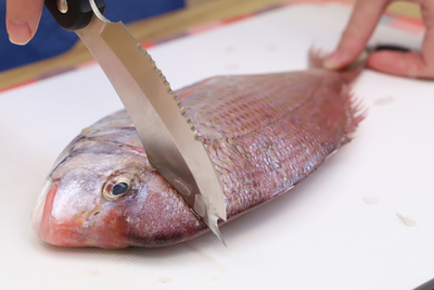 【どんな魚も】簡単に３枚おろし「サカナイフ」【これ一本】