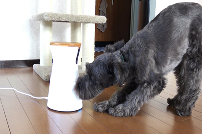 おやつもあげられる！愛犬を見守るドッグカメラ『Furbo（ファーボ）』