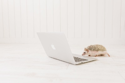 安い！高性能！激安でもコスパ抜群のノートパソコンを徹底比較！