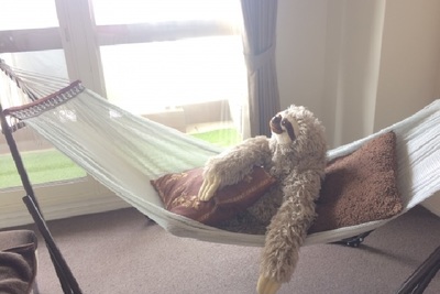 ハンモックスタンドで快眠を得る！その魅力的な効果とは