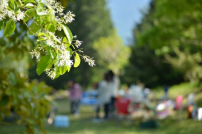 横浜のバーベキュースポット！人気の施設を厳選して紹介