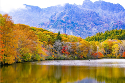 長野県でロマンティックにグランピング！おすすめの施設7選