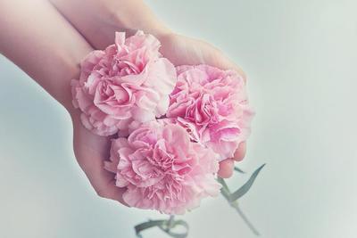 オーガニッククレンジングミルクのおすすめ商品10選！敏感肌や乾燥肌に