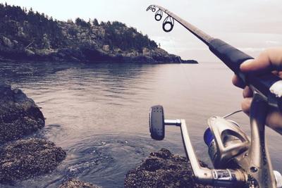 初心者におすすめのスピニングリール10選！1万円以下で入門機に最適